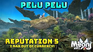 FFXIV Pelu Pelu Reputation 5  Respected  Rank Up Day [upl. by Tekla578]