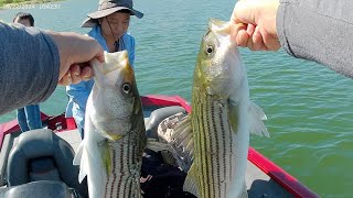 Fishing Striped Bass  San Luis Reservoir 9222024 [upl. by Tabib584]