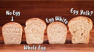 This is How Eggs Affect Bread Dough  How to Use Eggs in Breadmaking [upl. by Frum]