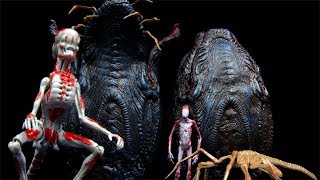 NECA Alien Covenant Creature Pack Accessory Figure Review [upl. by Medin]