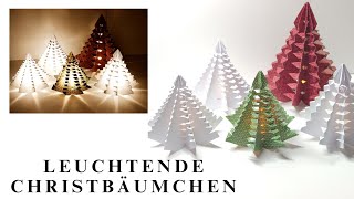 315 Video 🎄Leuchtende Christbäumchen🎄  Weihnachten  Simply Craft  Anleitung  Tutorial  LED🎄 [upl. by Pattani]