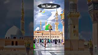 Islamic contact 🥰 foryou youtube islamiccontent [upl. by Etnovert556]