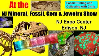 At The NY NJ Fossil Gem and Mineral Expo Fossil Hunting and Fossil Collecting with Chris Trilobites [upl. by Niveg691]