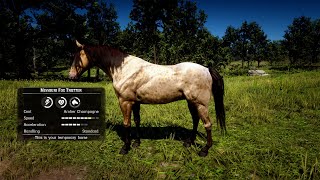 Missouri Fox Trotter RDR2 FASTEST1Min [upl. by Jillene41]