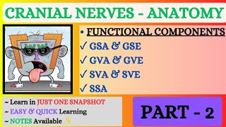 CRANIAL NERVES ll Functional Components ll Neuroanatomy ll Part  2 ll Snapshot Learnings ✨ [upl. by Bethezel]