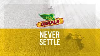 DEKALB® brand Always innovate Never settle 30 [upl. by Mirabelle471]