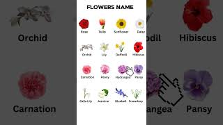 Flower name in English vocabulary [upl. by Bergstrom]