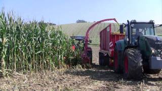 Pöttinger MEX 5 und JUMBO combiline im Maiseinsatz [upl. by Suirtemid67]