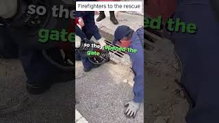 Firefighters SAVES Capybara From The Gutters 🥺 shorts [upl. by Dryden]