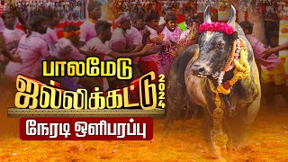 🔴Live  Palamedu Jallikattu 2024 Live  பாலமேடு ஜல்லிக்கட்டு 2024 நேரலை  Jallikattu 2024 Live [upl. by Genny]