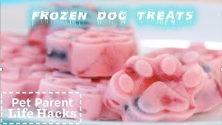 How To Make Fun Frozen Dog Treats Your Pup Will LOVE  The Dodo [upl. by Ednihek]