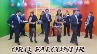 MIX Nuevo Orquesta Falconi Jr [upl. by Kenwee694]