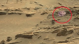 Perseverance Rover Captured a New Video Footage of Mars  New Mars Video [upl. by Sprague]