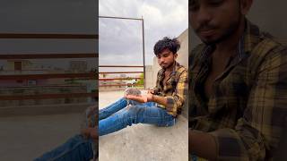 Birds ke Prati Prem 😱🕊👌 pegion birdslover shortsfeed ytshorts viralvideo 😍🕊🐦👌🙏🙏 [upl. by Anattar]