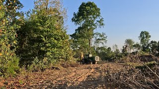 JD Feller buncher hard at work on flat land this time LumberLineFarmingCountry [upl. by Tudor]