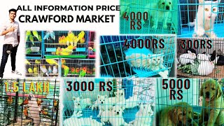 Crawford market Mumbai pet price in detail information 😁😁 2023crawfordmarket pets animals viral [upl. by Ttimme]