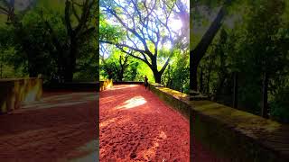 The center point of Sri Lanka Nalanda Gedige🇱🇰💚 nature travel historical visitsrilanka [upl. by Deerc237]