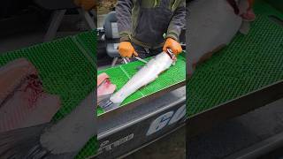 How To Fillet A Fish In Under 60 Seconds [upl. by Terces]