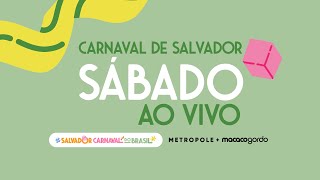 Sábado de Carnaval de Salvador 2024  Metropole  10022024 [upl. by Salsbury]