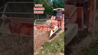 HighPerformance Wheat Cutting and Threshing Machinery for Streamlined Harvesting [upl. by Clari]