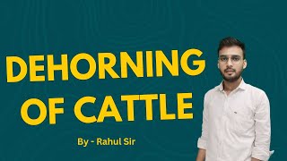 BSc Ag 1st Semester  Dehorning of Cattle  By  Rahul Sir [upl. by Norina]