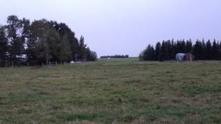 Bellanca 14133 Cruisair Dusk Landing [upl. by Natsuj371]