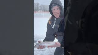 Ice Fishing Rainbow Trout [upl. by Lais509]