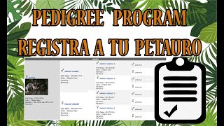 Como registrar a tu petauro en el pedigree program de TPG [upl. by Stu102]