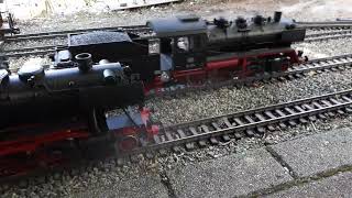 34 Gartenbahntreffen im ElsterNatoureum Maasdorf vom 15092024 Teile 154 [upl. by Otrebilif]