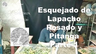 LN T1E4 Esquejado de Lapacho Rosado y Pitanga Parte 1 [upl. by Alleunamme675]