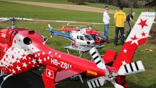 ALK Heli Frühlingstreffen 2015 [upl. by Socram113]