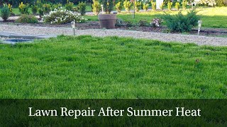 How We Revived Our Lawn After a Hot Summer  StepbyStep Grass Reseeding [upl. by Llenrub]