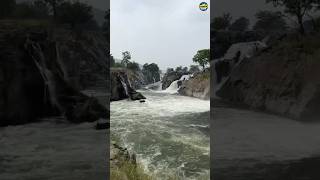 Hogenakkal Falls  Tamil Nadu falls shorts [upl. by Boeschen]