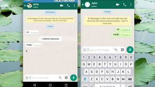 How to Read WhatsApp Messages without Blue Tick Marks [upl. by Tia]