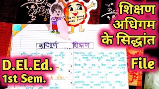 Shikshan Adhigam ke Siddhant  Project file  DElEd 1st Semester  BTC 1st semester [upl. by Patience]