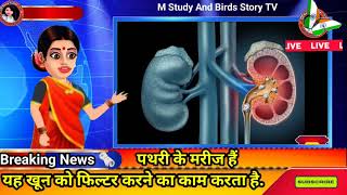 🥺किडनी स्टोन समस्या पढ़ सकती ये 🤔3 चीज खाने से बचे जादे 😁Causes Kidney Stones facts shorts scince [upl. by Tenn]