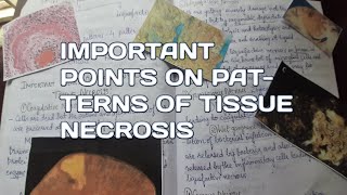 Important points on Patterns of tissue necrosisCell injuryCell deathPathology [upl. by Oigile187]