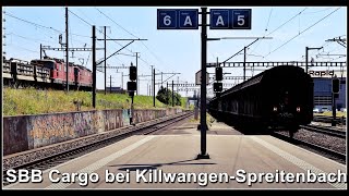 Güterzugsichtungen beim Bahnhof KillwangenSpreitenbach  Kanton Aargau  Schweiz 2023 [upl. by Epolenep]