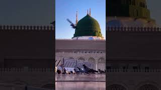 Madiny ki gali naatstatus naat nabimuhammad madina naatsharif ashura72 duet khumeni love [upl. by Wivestad]