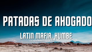 LATIN MAFIA Humbe  Patadas de Ahogado LetraLyrics [upl. by Tadich]