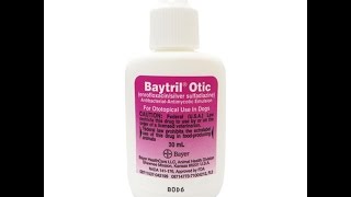 Baytril Otic [upl. by Tecu]