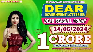 DEAR 8 PM SEAGULL FRIDAY DRAW DATE 14062024 NAGALAND STATE LOTTERIES [upl. by Sean]