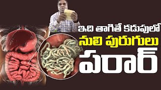 Control Worms in stomach  Nuli Purugulu  How to Remove Intestinal Worms  Prof DrK MadhavaChetti [upl. by Cutter]