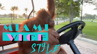 Orangutan Rambo Drive Golf Car As Miami Vice Style [upl. by Christianson]