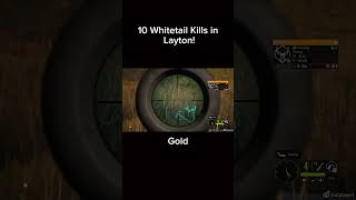 Hunter COTW 10 Crazy Whitetail Kills in Layton gaming hunting hunter cotw [upl. by Ludba]