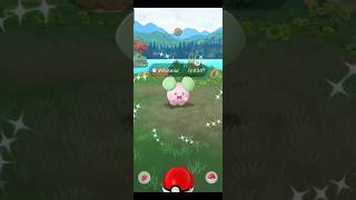 Wow 😲 I Caught ✨Shiny Whismur in Pokemon Go pokemongo [upl. by Hadden]