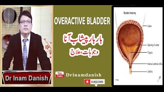 Overactive Bladder In Urdu amp Hindi OveractiveBladder بیش فعال مثانہ [upl. by Kery762]