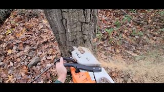 Stihl MS 271 Chainsaw Review After 2 Years [upl. by Prima]