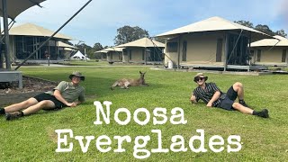 Noosa Everglades Tour [upl. by Knut631]