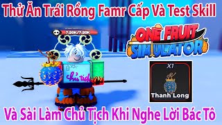 One Fruit  Thử Ăn Trái Rồng Farm Cấp Test Skill Và Sai Làm Của Chủ Tịch Khi Nghe Lời Bác Tô Roblox [upl. by Aisatal]